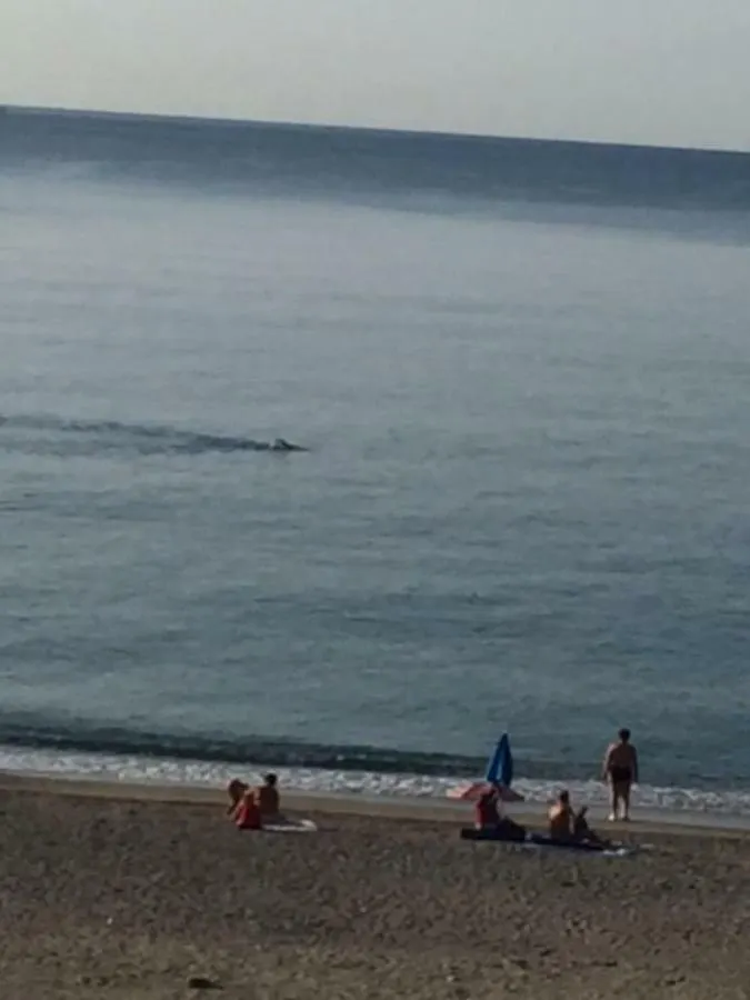 Sabrina'S Relax Fra Mare E Storia Apartment Savona